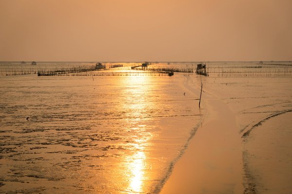 Comment organiser une visite des châteaux cathares dans le sud de la France?